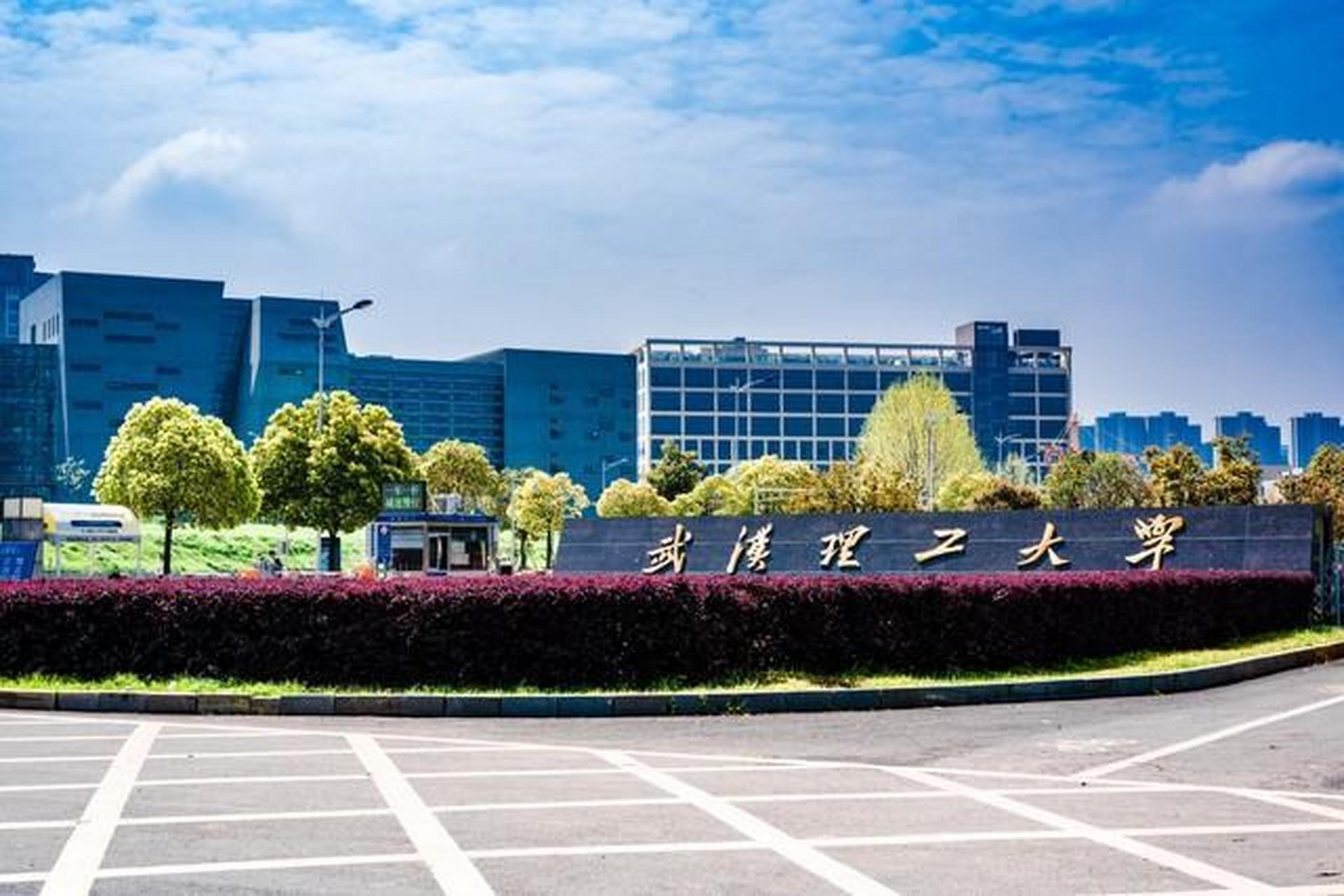 武汉理工大学(武汉理工大学信息工程学院)