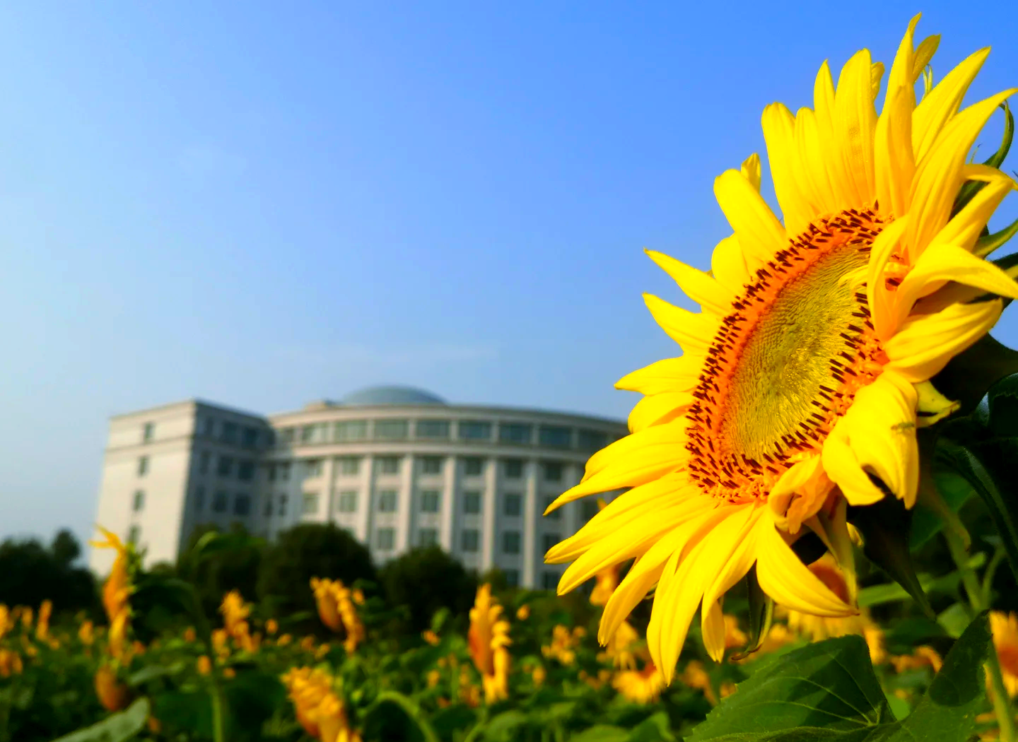 浙江工业大学(浙江工业大学研究生院)