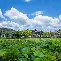 安徽大学认可度高吗