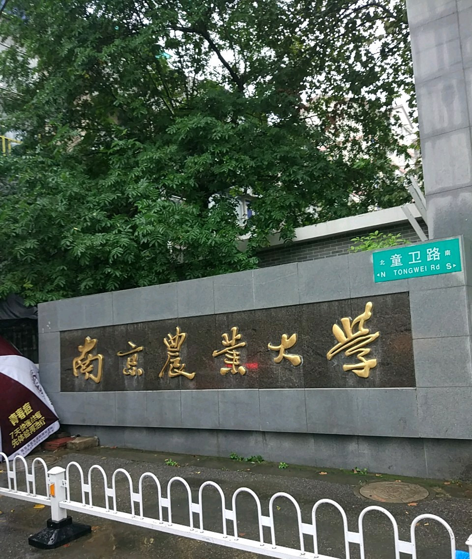 南京农业大学是985还是211
