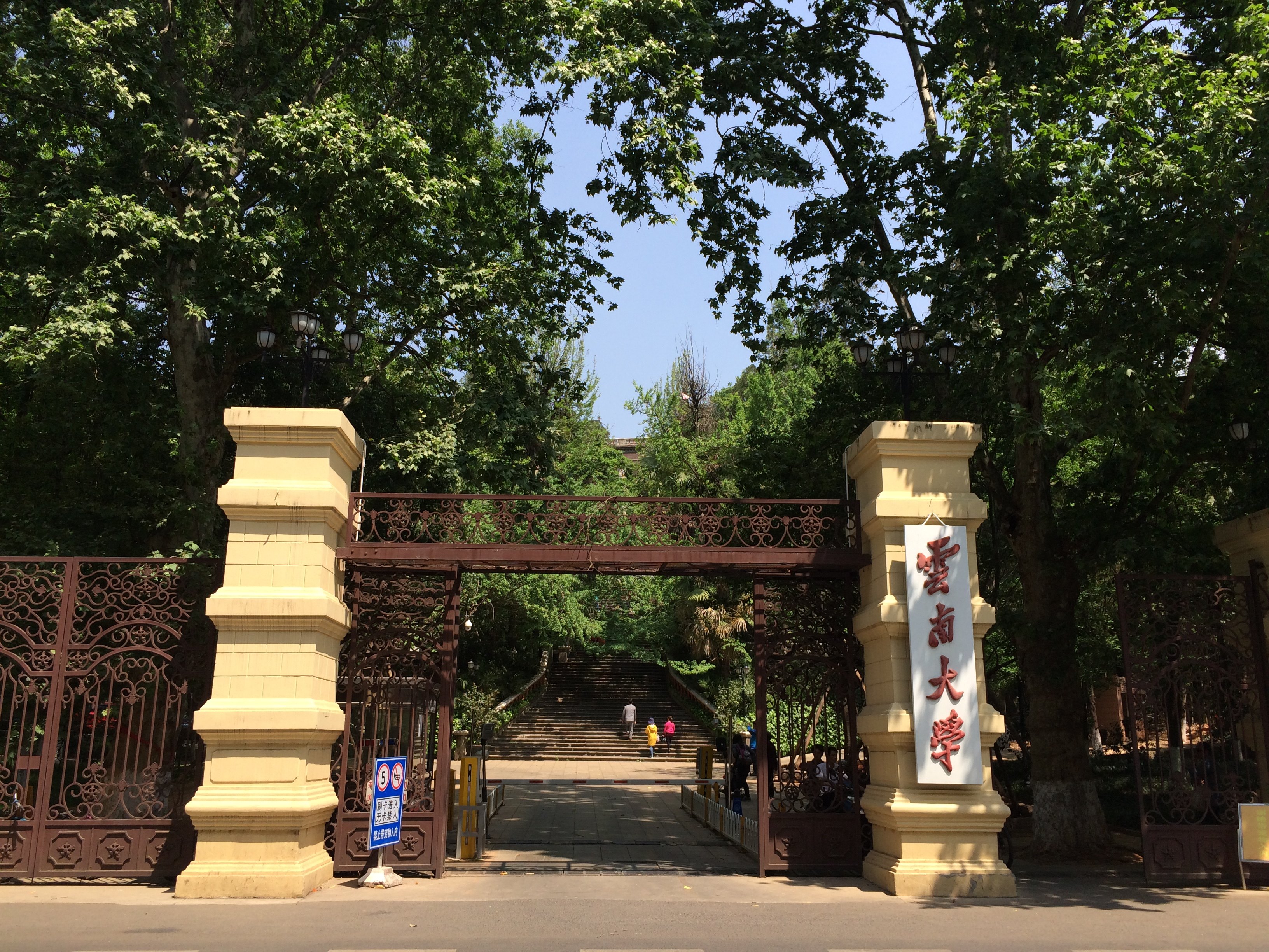 云南大学研究生招生简章2025